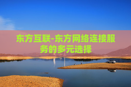 东方互联-东方网络连接服务的多元选择